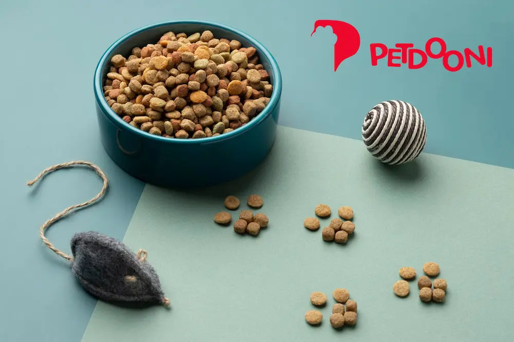 گربه ها چه غذایی دوست دارند؟ | غذای مورد علاقه گربه ها در پت شاپ آنلاین پتدونی 1404